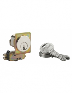 Cilindro a camma HG5 con contatto elettrico e interruttore a chiave, 3 chiavi – THIRARD