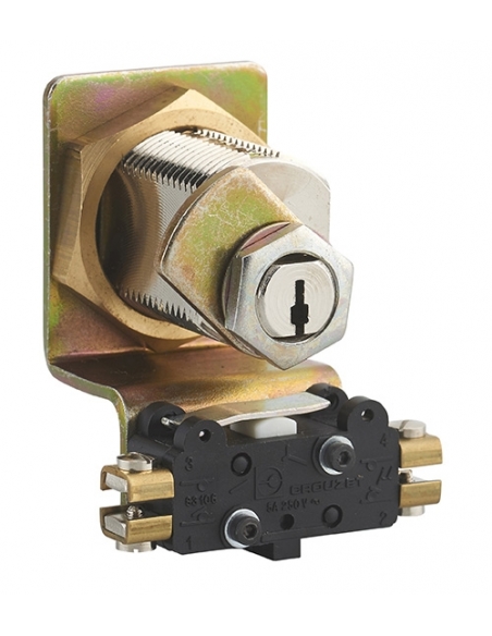 Cilindro a camma HG5 con contatto elettrico e interruttore a chiave, 3 chiavi – THIRARD