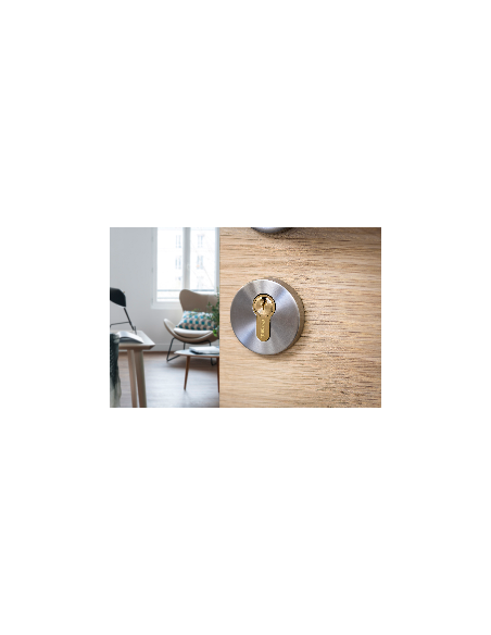 Cilindro europeo SA 30 x 30 mm finitura ottone, 3 chiavi – THIRARD
