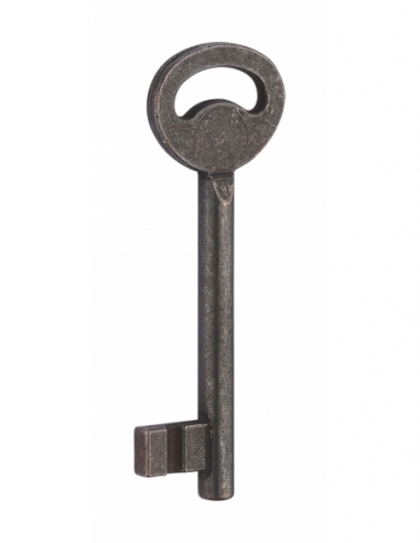 Chiave singola per serratura patent, per 110/S e 130/S N°3 bronzo - THIRARD