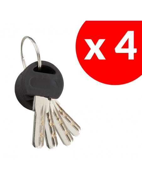 Vista aggiuntiva 3 di Lucchetto a chiave Reverso, ottone, esterno, arco in acciaio, 40 mm, 4 chiavi – THIRARD