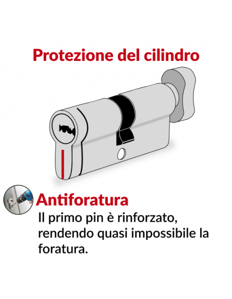 Cilindro europeo Federal S - 30BX30mm a pomolo nichel, anti-sfilamento, anti-perforazione, 5 chiavi reversibili - THIRARD