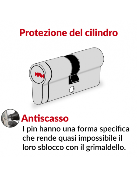 Cilindro europeo a doppia entrata Trafic 12 30X65, nichel, antiperforazione, antirottura, 5 chiavi piatte reversibili- THIRARD