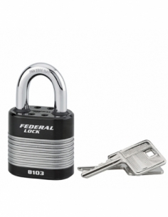 Lucchetto PROTECTOR 50 mm, 2 chiavi – THIRARD
