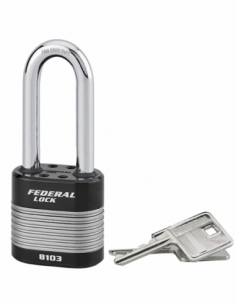 Lucchetto PROTECTOR 50 mm, arco semialto, 2 chiavi – THIRARD