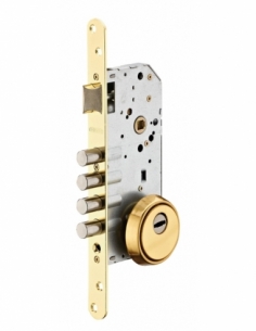 Cassa serratura da incasso per cilindro europeo, asse 50 mm, frontale ottonato, rosetta chiusa – THIRARD