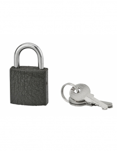 Lucchetto ACERA grigio 25 mm con arco in acciaio cementato, 3 chiavi – THIRARD