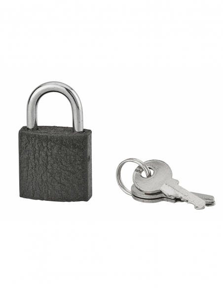 Lucchetto ACERA grigio 25 mm con arco in acciaio cementato, 3 chiavi – THIRARD