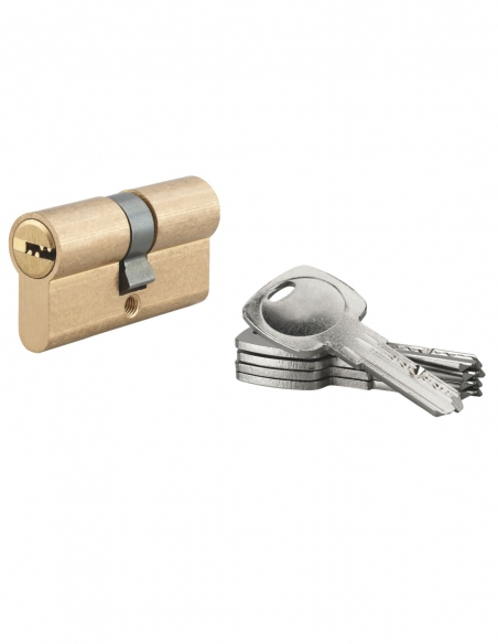 Cilindro per serratura a doppia entrata 5G, 30x30 mm, ottone, antistrappo, 5 chiavi - SP