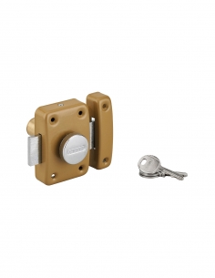 Cilindro TRIDENT 45 mm, finitura epossidica bronzo, 3 chiavi – THIRARD
