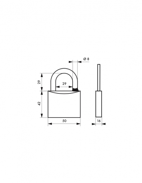 Lucchetto a chiave Mach 3, ottone nichelato, per esterno, arco in acciaio inox, 50 mm, 2 chiavi – THIRARD