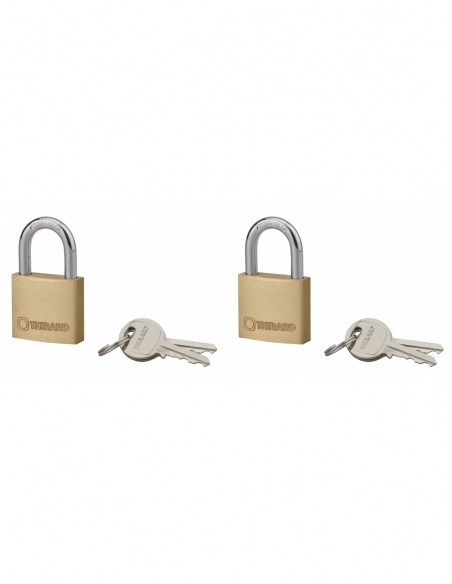 Set di 2 lucchetti Tipo 1+, 30 mm, arco in acciaio, 2 chiavi per lucchetto, con apertura tramite la stessa chiave - THIRARD