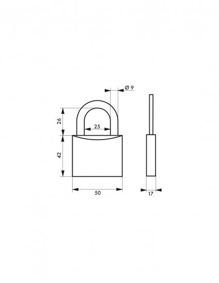 Vista aggiuntiva 1 di Lucchetto TYPE 1 50 mm, 2 chiavi – THIRARD