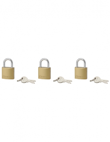 Set di 3 lucchetti Tipo 1, per interno, 30 mm, arco in acciaio cementato, 6 chiavi, con apertura con la stessa chiave – THIRARD