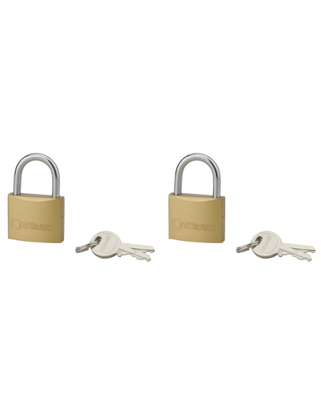 Set di 2 lucchetti Tipo 1, per interno, 35 mm, arco in acciaio cementato, 4 chiavi, con apertura con la stessa chiave – THIRARD