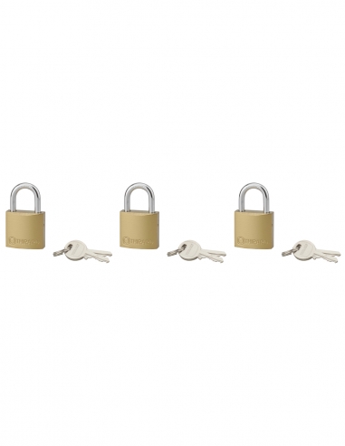 Set di 3 lucchetti Tipo 1, per interno, 35 mm, arco in acciaio cementato, 6 chiavi, con apertura con la stessa chiave – THIRARD