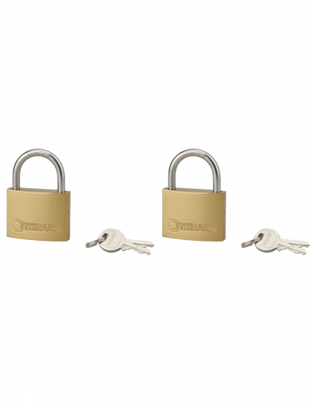 Set di 2 lucchetti TYPE 1 45 mm a chiave uguale, 4 chiavi – THIRARD