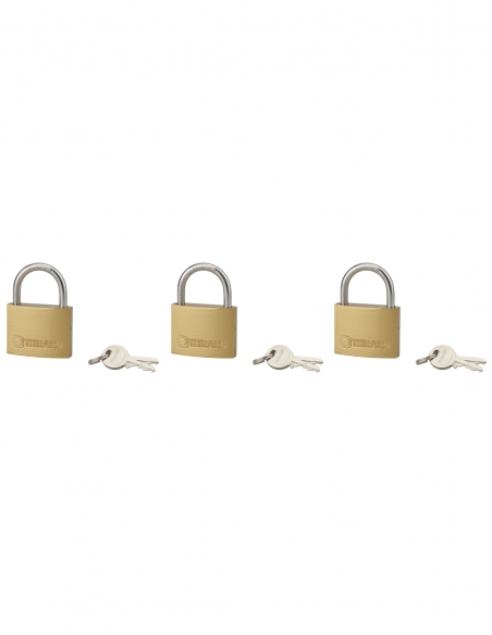 Set di 3 lucchetti TYPE 1 45 mm a chiave uguale, 6 chiavi – THIRARD
