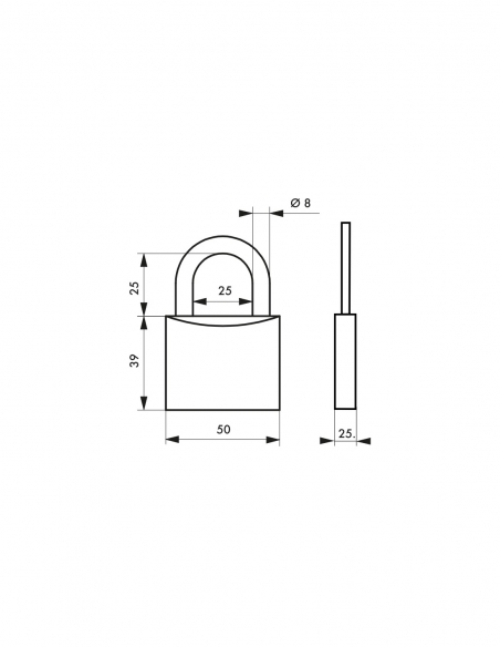 Lucchetto a combinazione Tanker, in ottone, 4 cifre, per interno, arco in acciaio, 50 mm - THIRARD