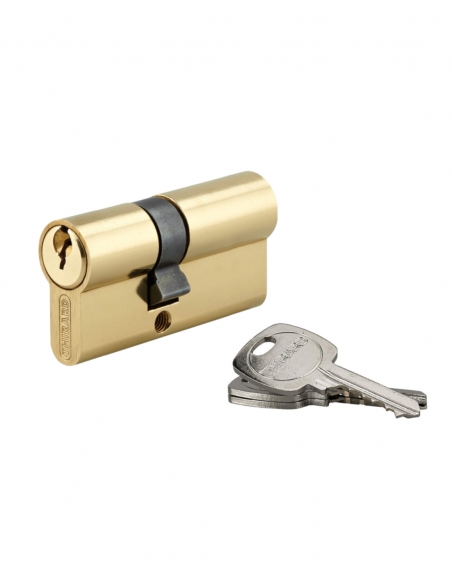 Cilindro per serratura doppia entrata, 25x35 mm, anti-estrazione, 3 chiavi, ottone – THIRARD
