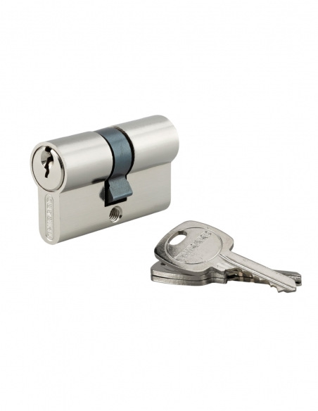 Cilindro per serratura, 25x25 mm, anti-estrazione, nichelato, 3 chiavi – THIRARD