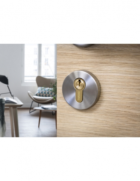 Cilindro per serratura, 25x30 mm, anti-estrazione, nichelato, 3 chiavi – THIRARD