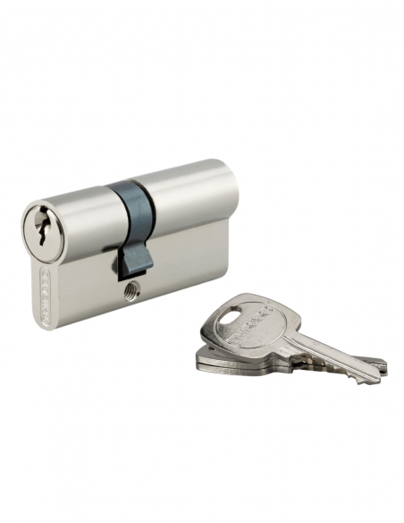 Cilindro per serratura, 25x40 mm, anti-estrazione, nichelato, 3 chiavi – THIRARD