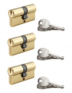 Confezione da 3 cilindri SA ottonati, 30x30 mm, a chiave uguale (s’entrouvrant), 9 chiavi – THIRARD