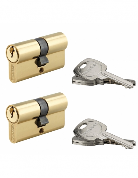 Set di 2 cilindri STD 30 x 30 mm in ottone, chiave uguale, 6 chiavi – THIRARD
