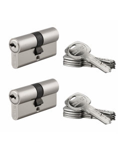 Set di 2 cilindri europei TRAFIC 6 30 x 30 mm, nichelati, a chiave uguale, funzione emergenza, 10 chiavi – THIRARD