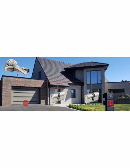 Confezione da 2 cilindri per serratura doppia entrata, 30 x 30 mm, a chiave uguale, nichelati, 10 chiavi – THIRARD