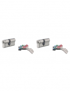 Set di 2 cilindri europei Transit 2 30 x 30 mm, nichelati, a chiave uguale, 8 chiavi – THIRARD