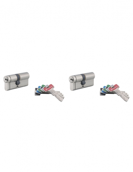 Set di 2 cilindri europei Transit 2 30 x 30 mm, nichelati, a chiave uguale, 8 chiavi – THIRARD