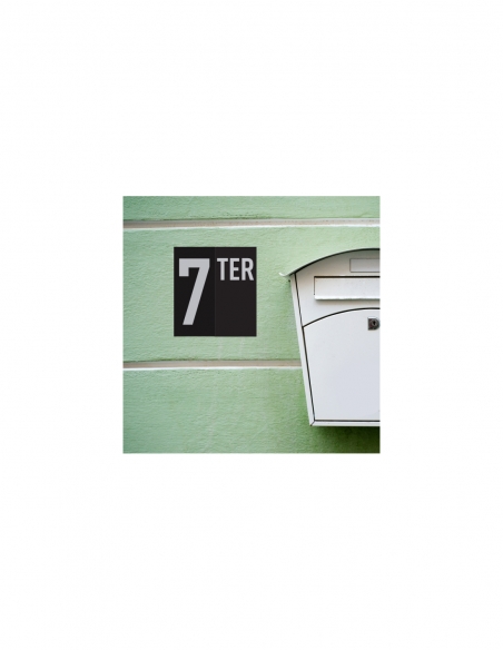 Vista aggiuntiva 5 di Targa segnaletica “TER” 56 x 130 mm, da avvitare – THIRARD