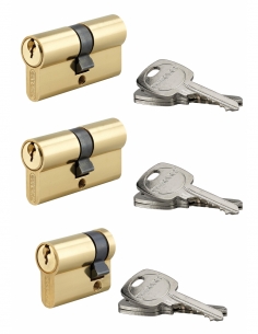 Set 2 cilindri doppia entrata STD 30x30 mm e 1 cilindro 30x10 mm, stessa chiave, ottone, 3 chiavi per cilindro – THIRARD