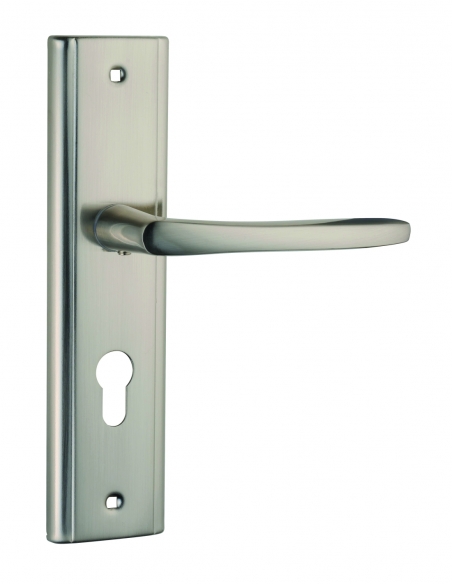 Set maniglie ELIADE per porta d’ingresso, foro cilindro, quadro 8 mm, interasse 170 mm, nichel satinato – THIRARD