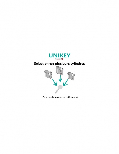Cilindro europeo SA UNIKEY a doppia entrata 30 x 30 mm nichelato, chiave uguale, 3 chiavi – THIRARD
