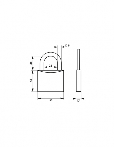 Lucchetto a chiave Tipo 1, ottone, interno, arco in acciaio, 50 mm, 2 chiavi - THIRARD