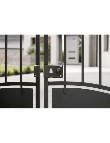 Serratura da applicare per cancello sinistra, interasse 56 mm, 140x88 mm, nero, 2 chiavi - THIRARD