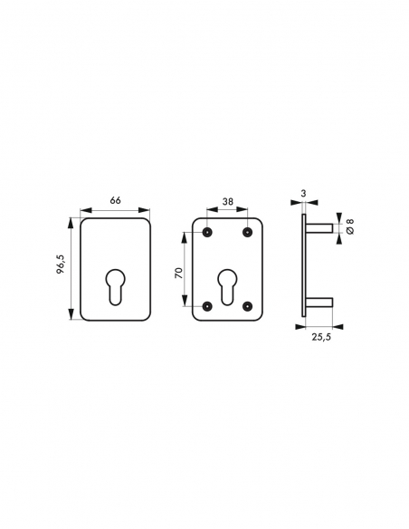 Piastra di rinforzo per cilindro profilato per chiusura Capital, fissaggio a viti, bronzo - THIRARD
