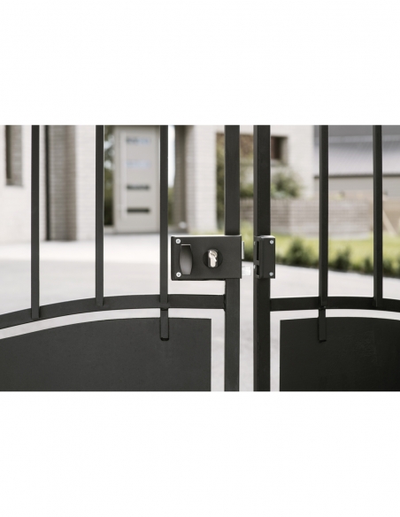 Serratura orizzontale doppio ingresso a cilindro passante, destro, 60 mm, 140 x 88 mm, nero - THIRARD