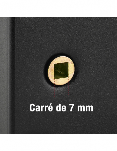 Serratura orizzontale da applicare a cilindro passante per cancello, destra, asse 56 mm, 140 x 82 mm, nero, 2 chiavi - THIRARD