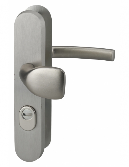 Set maniglie di sicurezza paliere per porta d’ingresso, leva e alettoni, interasse 216 mm, anodizzato inox - THIRARD