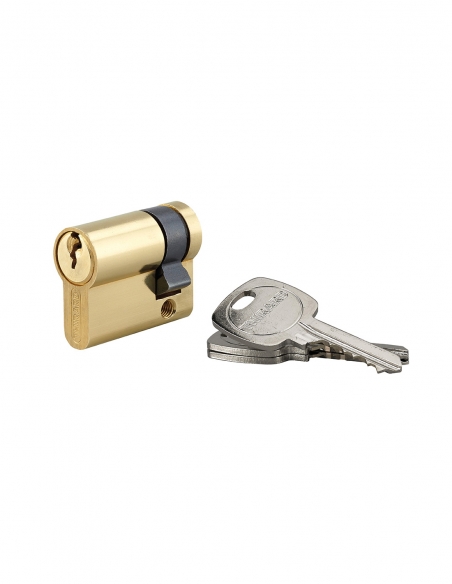 Semicilindro europeo STD UNIKEY 30 x 10 mm in ottone, chiave uguale, 3 chiavi – THIRARD