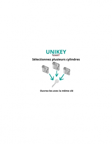 Vista aggiuntiva 1 di Cilindro europeo STD UNIKEY con pomolo 40 x 30 mm nichelato, chiave uguale, 3 chiavi – THIRARD