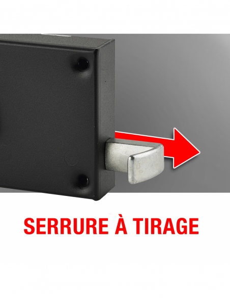 Serratura orizzontale da applicare 6 gole a tirante, sinistra, entrata 64 mm, 140x88 mm, nera, 2 chiavi - THIRARD