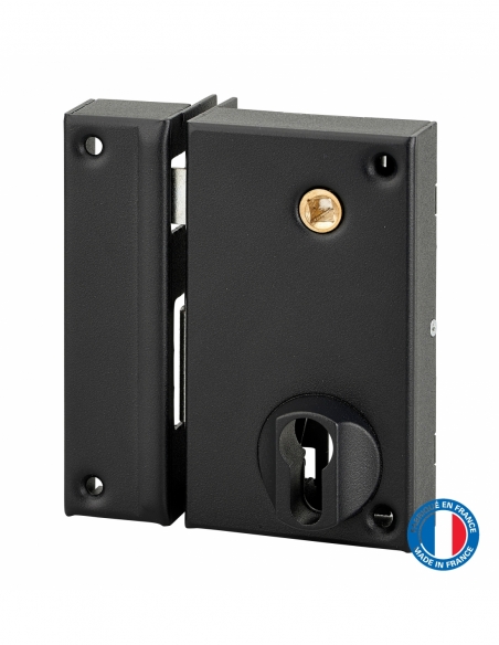 Serratura verticale da applicare doppia entrata con quadro per cancello, sinistra, 75x130 mm, entrata 45 mm, nera - THIRARD