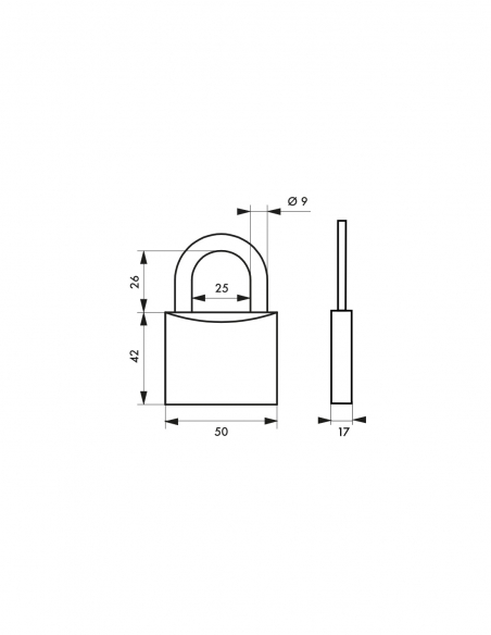 Vista aggiuntiva 1 di Lucchetto TYPE 1 50 mm, corpo in ottone, arco in acciaio, per esterno, 2 chiavi – THIRARD