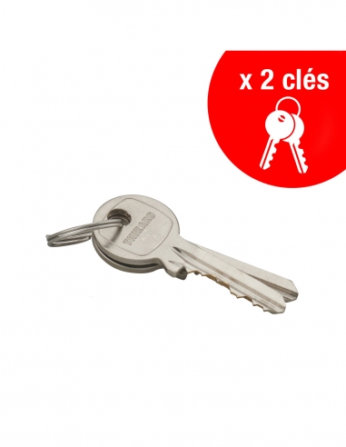 Lucchetto a chiave per esterno in alluminio 60 mm arco acciaio nichelato 2 chiavi - THIRARD