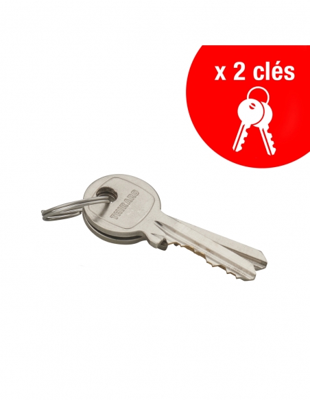Lucchetto a chiave per esterno in alluminio 60 mm arco acciaio nichelato 2 chiavi - THIRARD